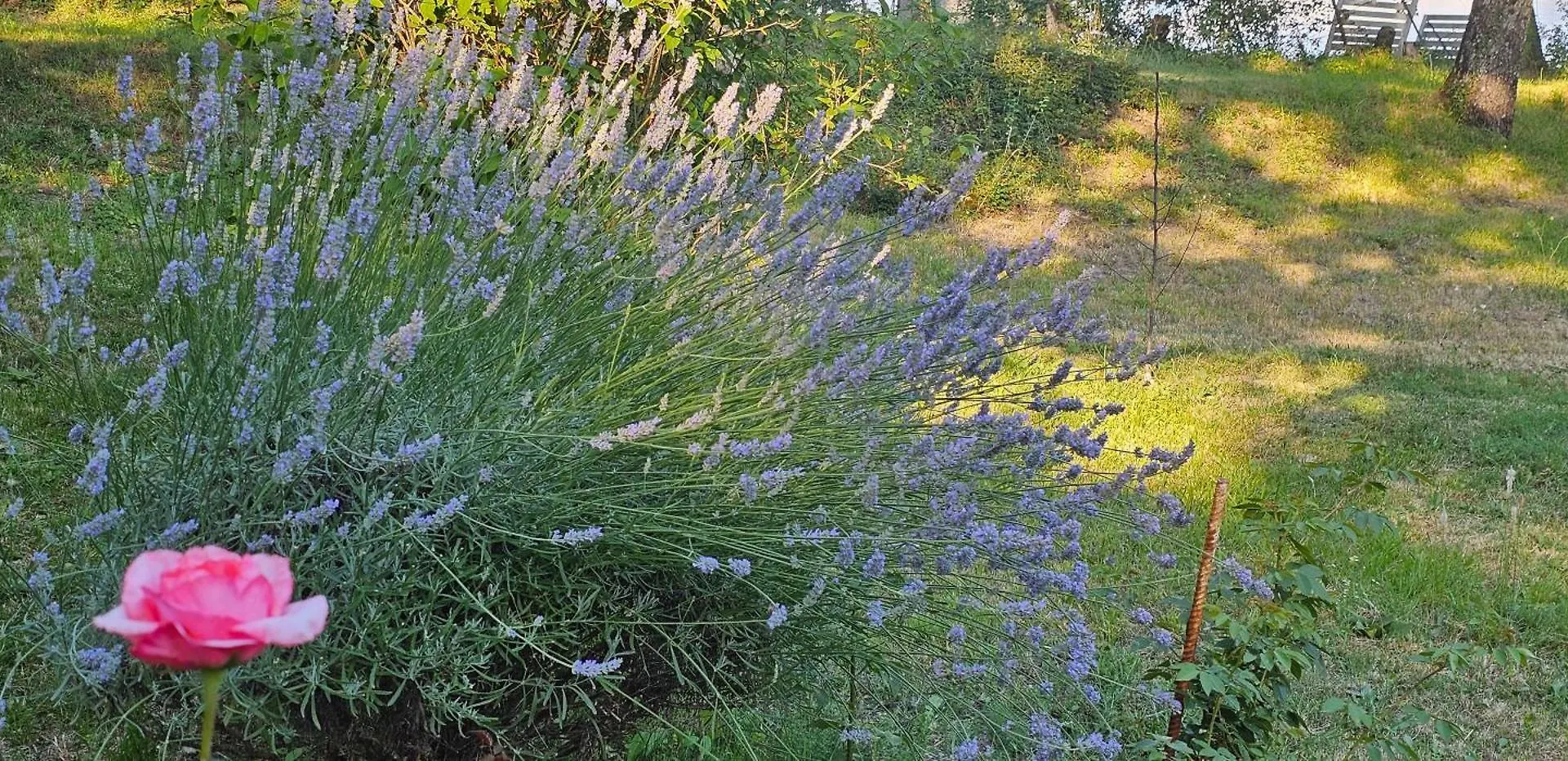 Affittacamere Al Giardino Toscano Montecarelli Italia