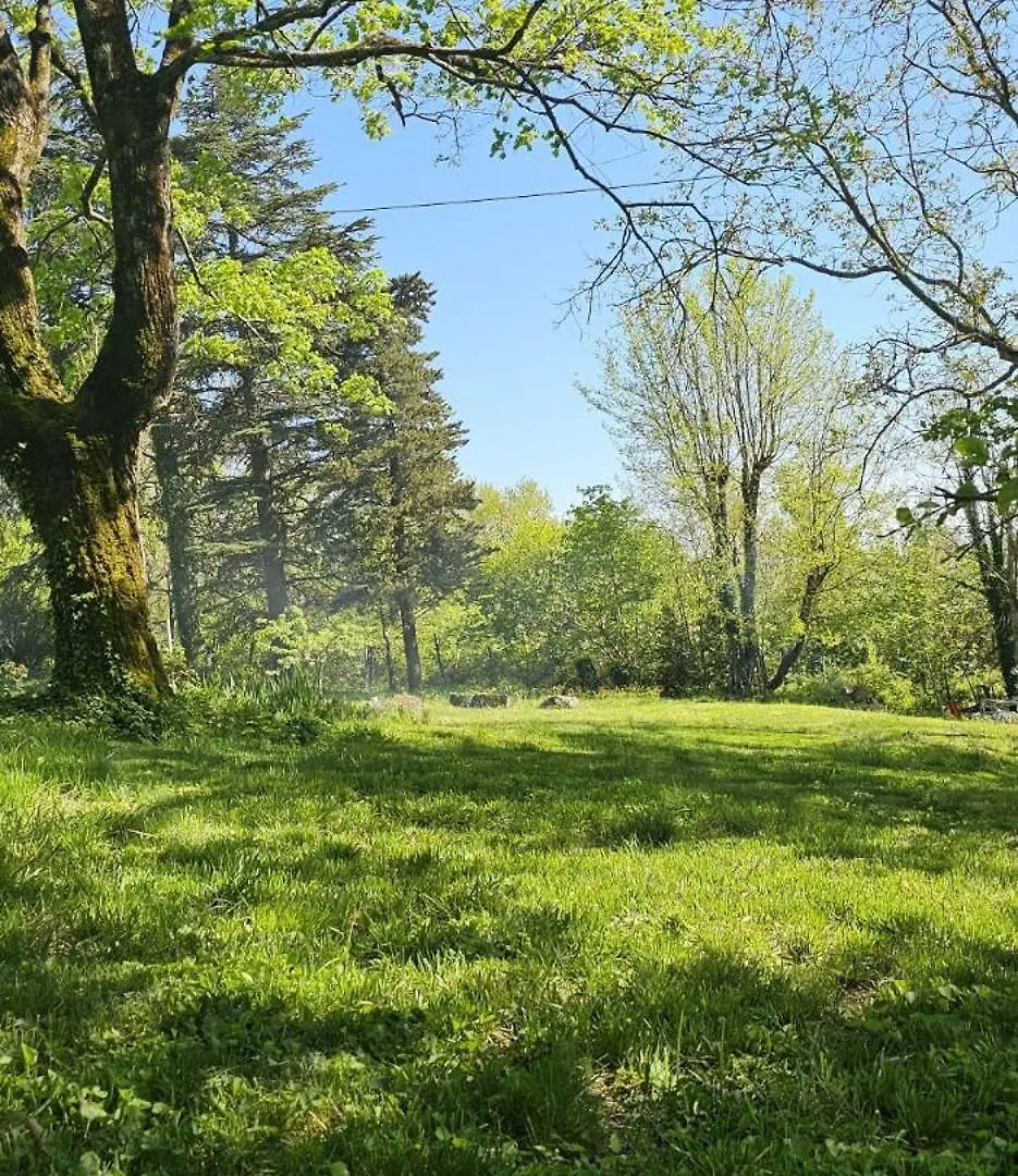 Al Giardino Toscano Montecarelli