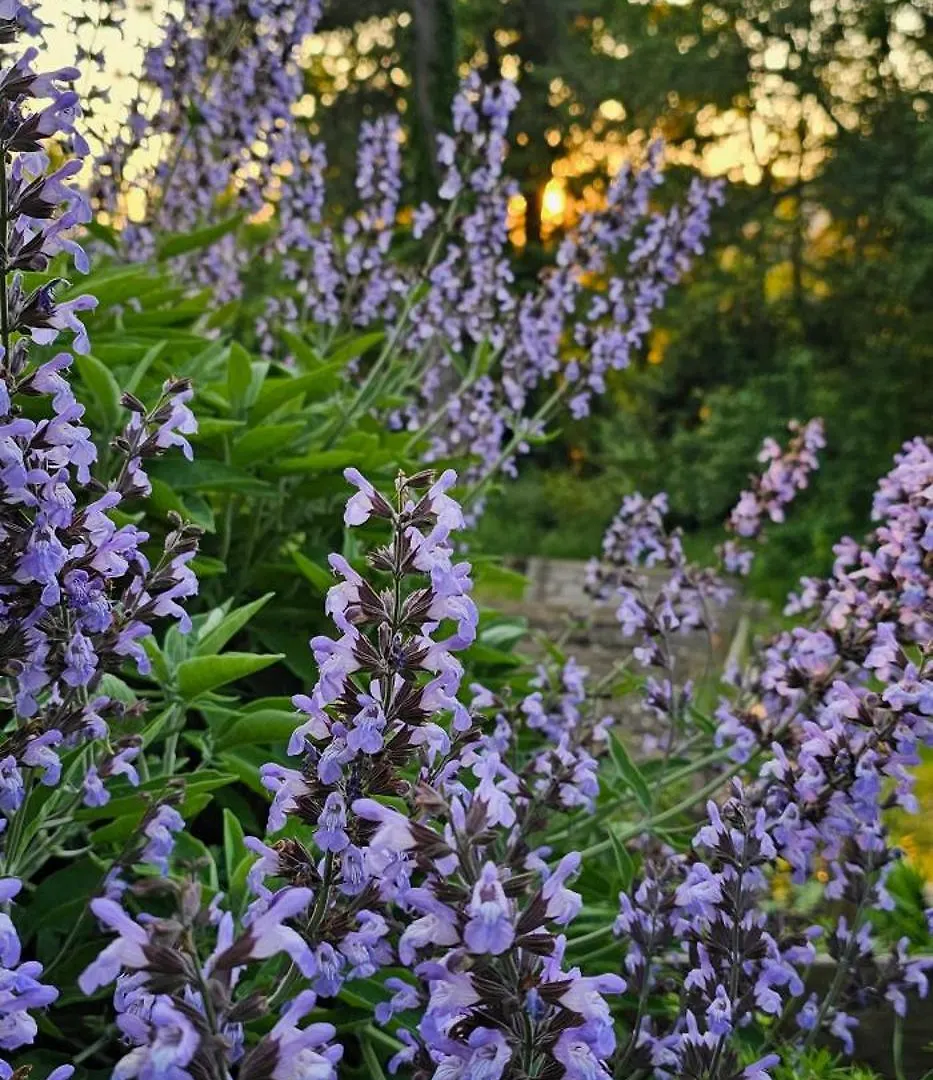 Guest house Al Giardino Toscano Montecarelli Italy